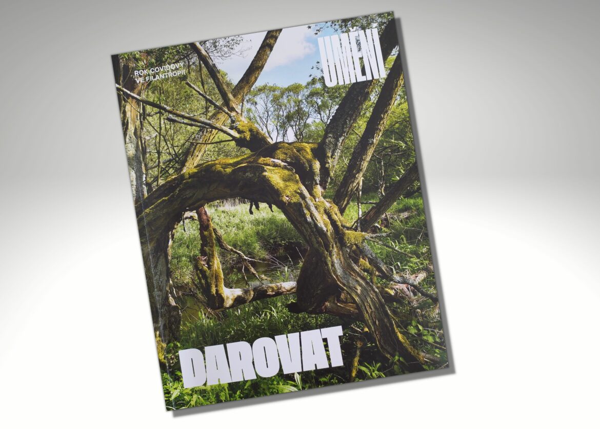 umeni-darovat-nadace-via