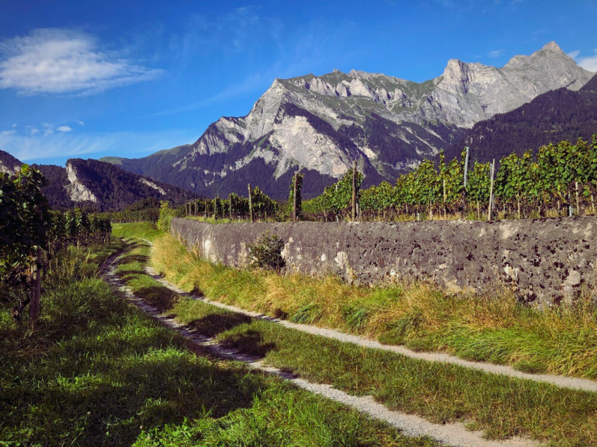 Salmann-Investment-Management