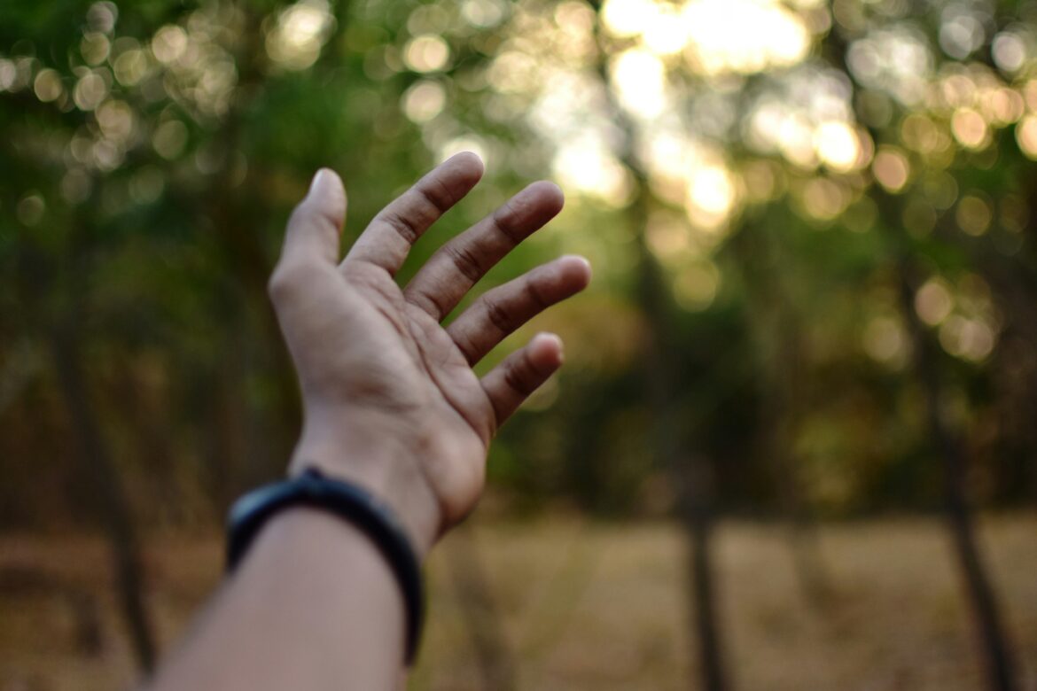 karmishth-tandel-TJ226FZlfEc-unsplash