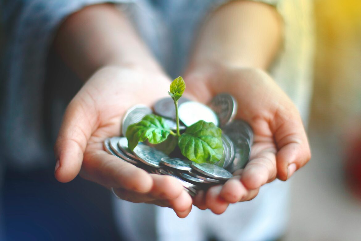 A person holding coins with a small plant