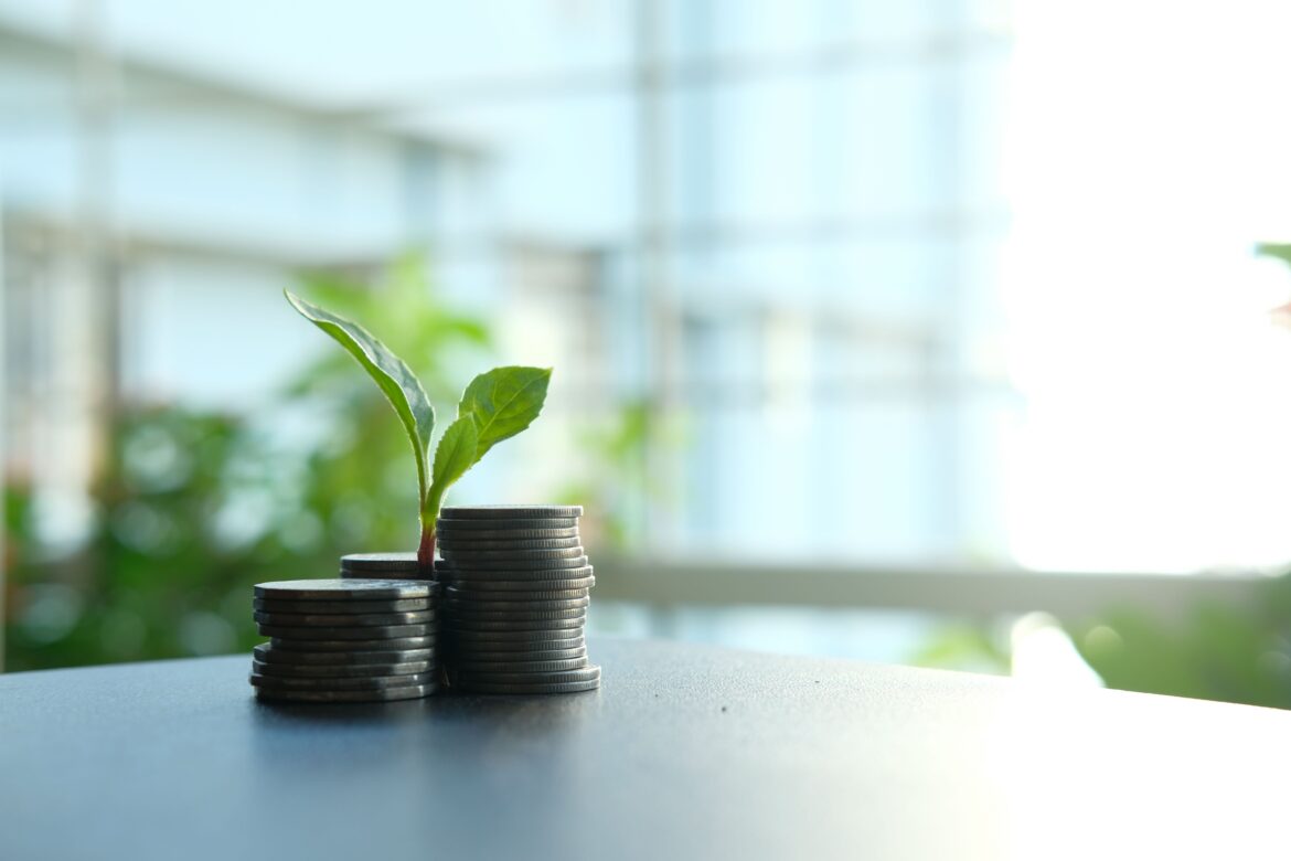 Green plant between a pile of silver coins