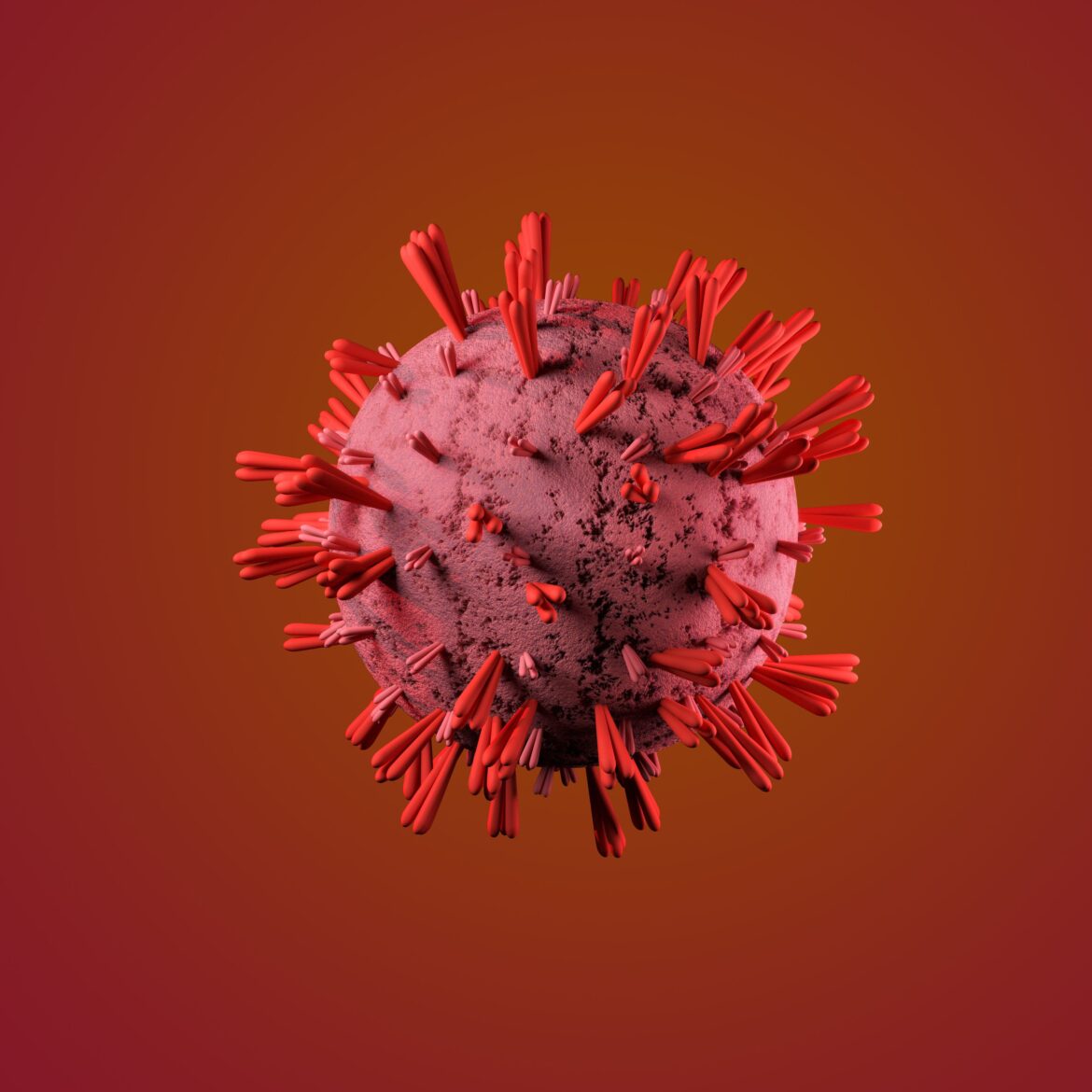 White and red dandelion flower